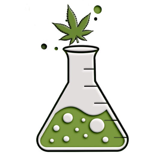 glass laboratory flask with cannabis leaves