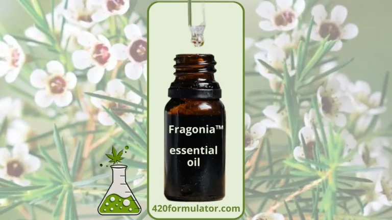 Fragonia essential oil against a background of Agonis Fragrans flowers