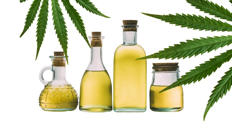 Olive Oil and Cannabis Infused CBD for Skin and Hair Care