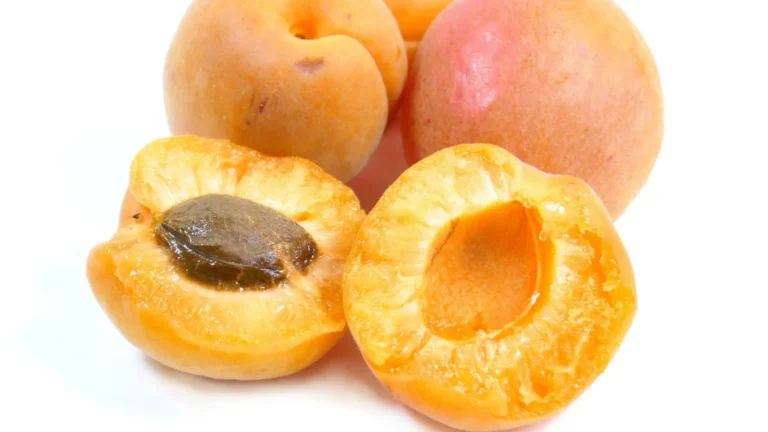 Apricot Kernel Oil Benefits for Skin and Hair